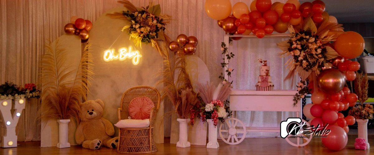leesburg baby shower party florida
