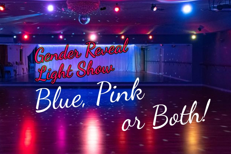 Gender Reveal Light Show Pink Blue or Both