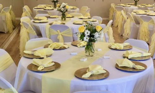 Yellow and White Rose Daisy Reception